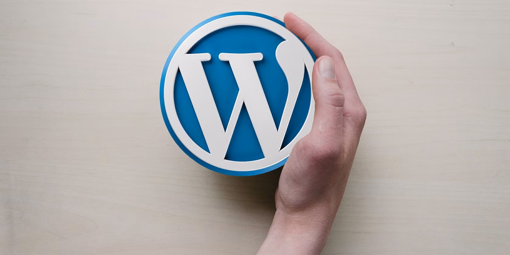 How to install Chat Button to your Wordpress